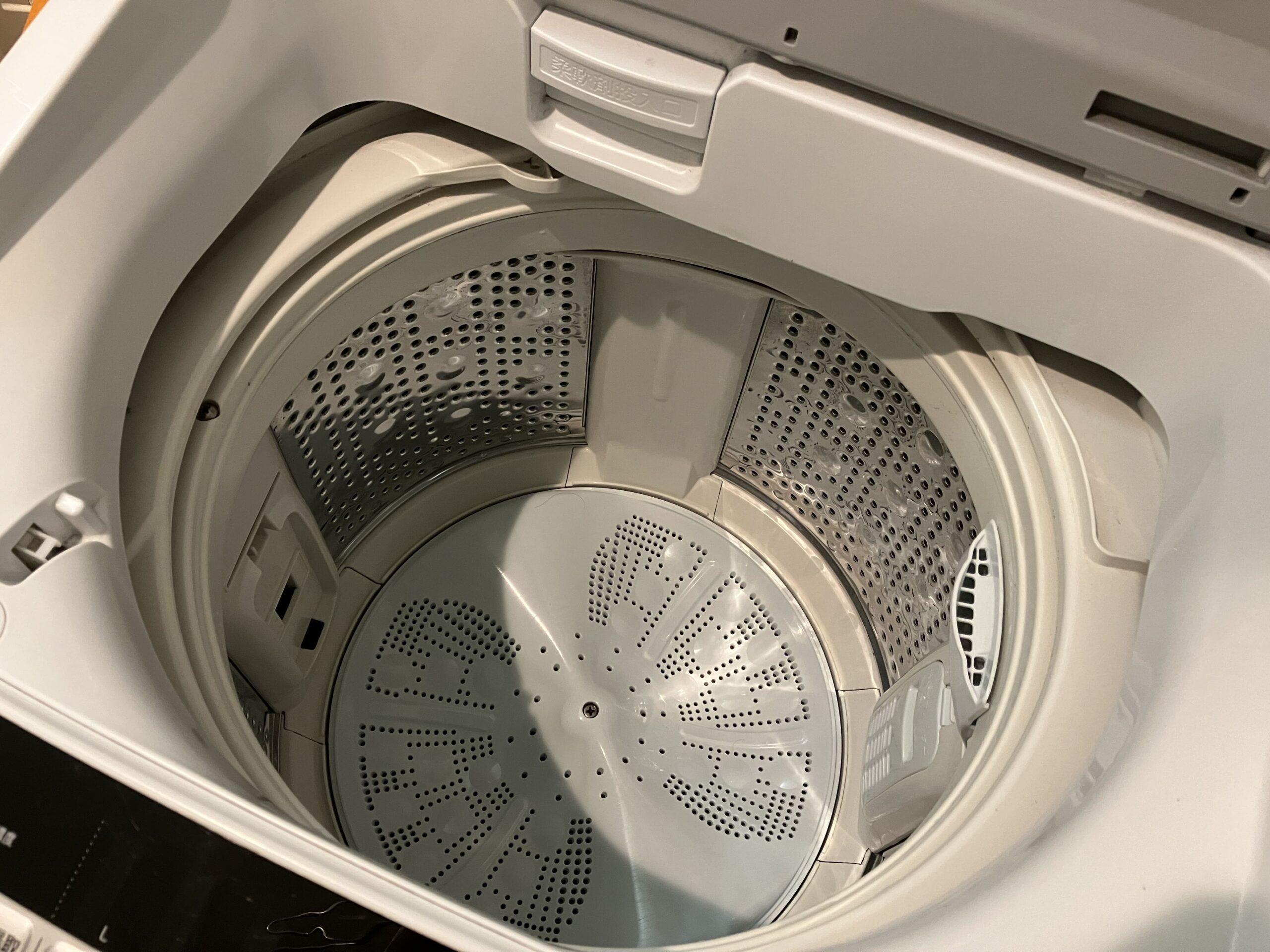 洗濯機　カビ