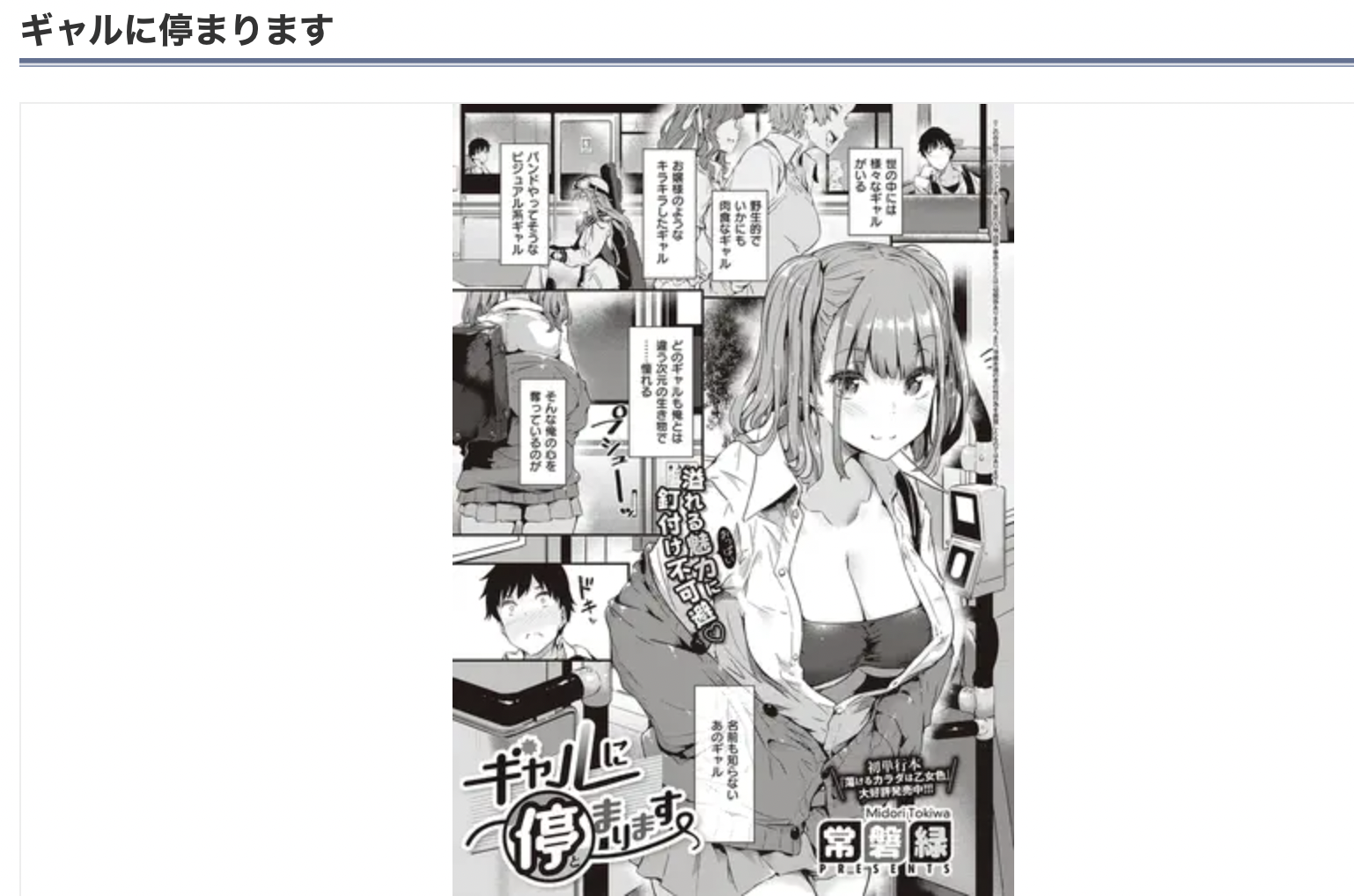 ギャルに停まります DLsite