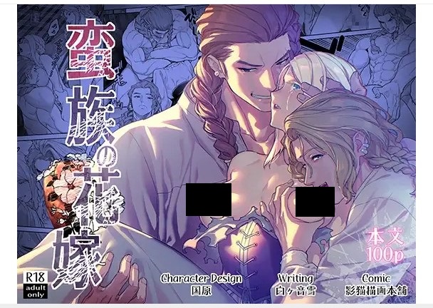 蛮族の花嫁~堕ちた姫君~ DLsite