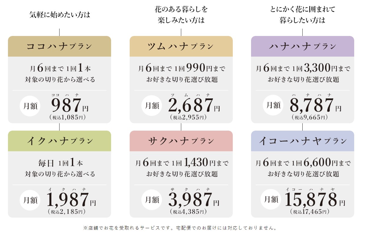 ハナノヒ料金プラン