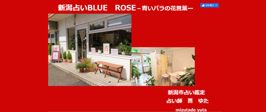 ⑥BLUE ROSE