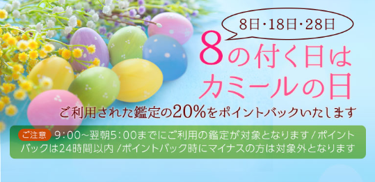 ④８のつく日はカミールの日！鑑定代の20パーセントをポイントバック！