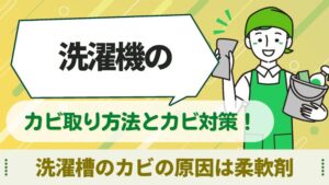 洗濯機　カビ